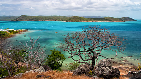 Torres Strait coastal image