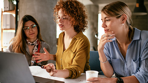 Businesswomen working on a new project.