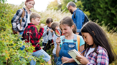 A group of kids exploring the environment