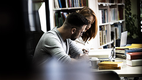 Two colleagues researching