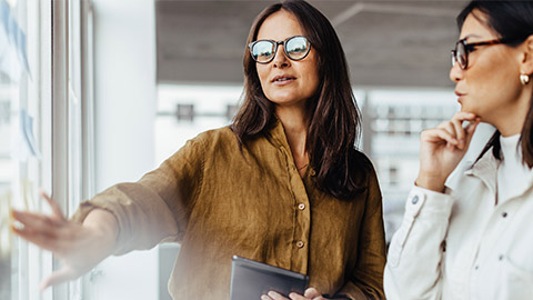 Mature business woman brainstorming with her colleague in an office