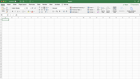 An example of an Excel spreadsheet