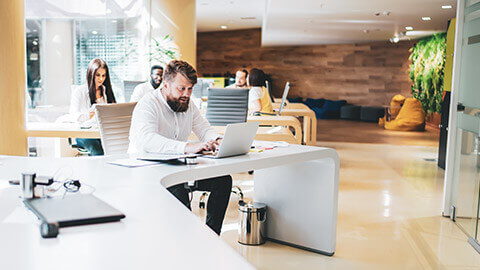 An accountant looking at figures on a laptop in an office