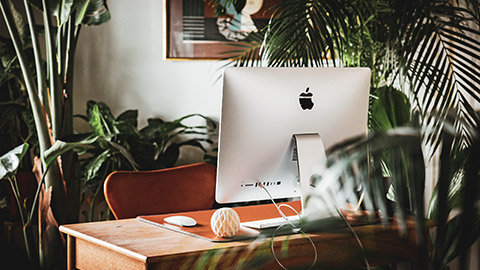 A desk in an office surrounded by greenery