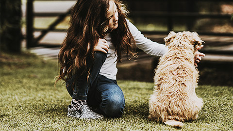 a child reaching out to their dog