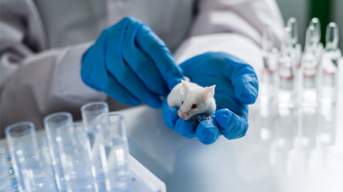 A lab assistant handling a mouse in a research facility