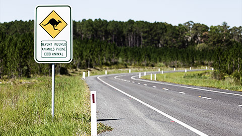 A road sign showing a hotline nuber for injured wildlife