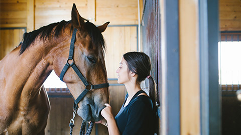 A horse with the trainer in a stable