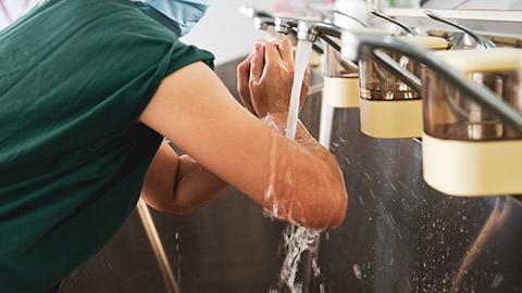 A close view of a vet washing hands before treating an animal