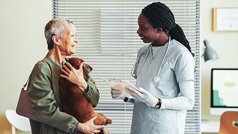 A vet nurse talking to a client