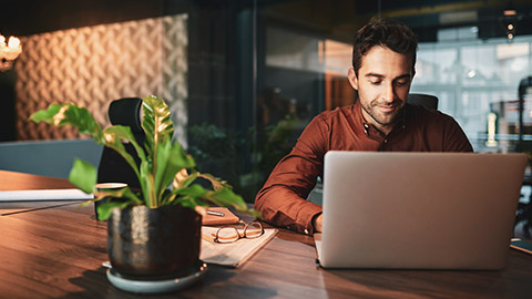 A data analyst working on a laptop in a modern office