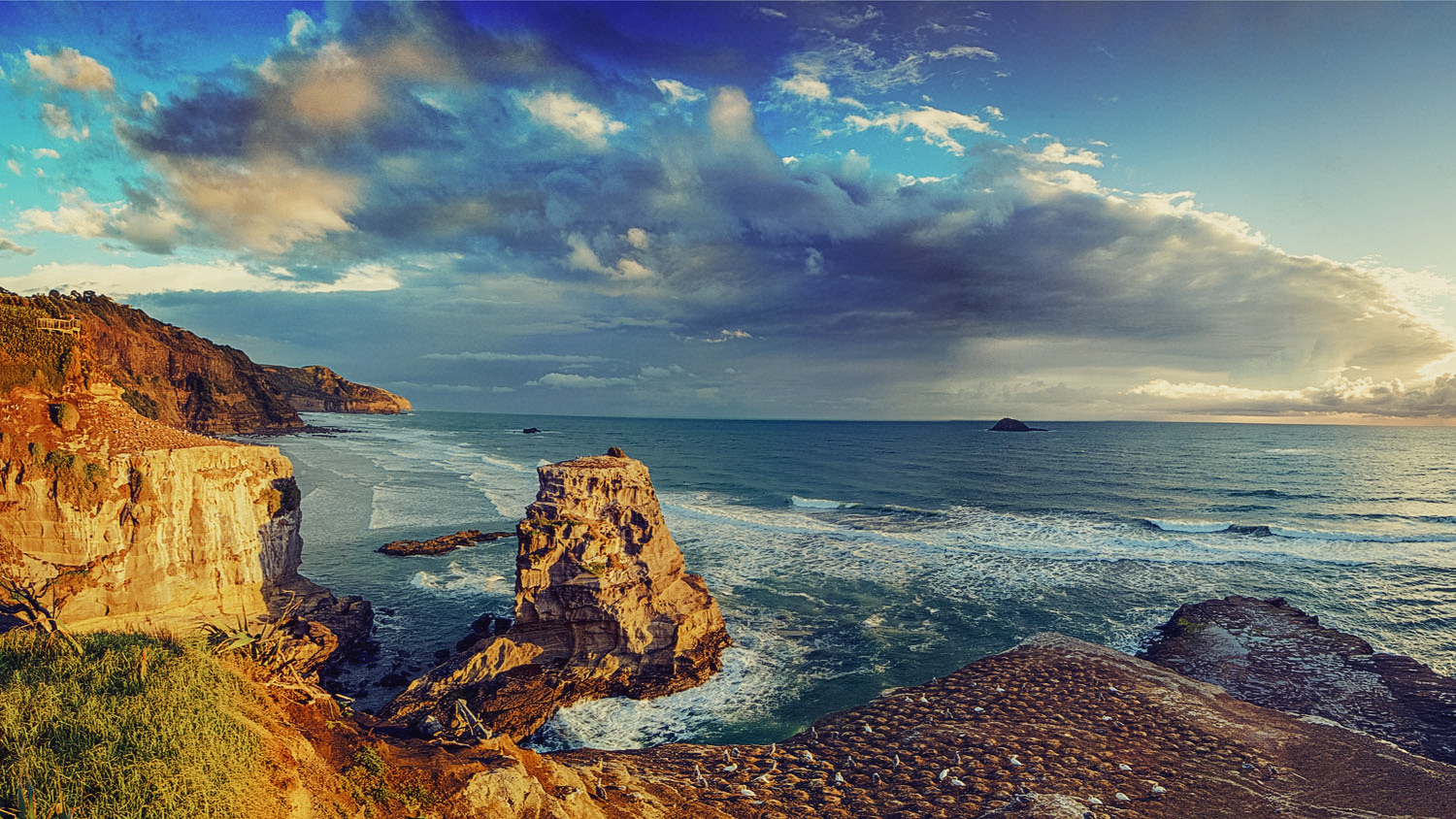 Muriwai Beach, Auckland West coast, New Zealand