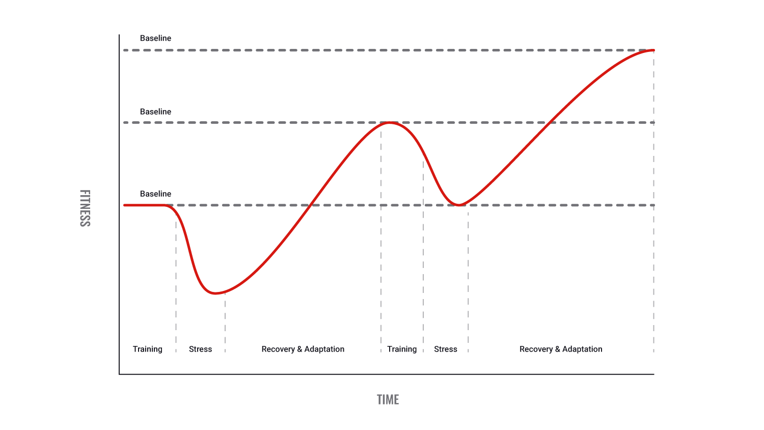 phases of adaptation chart