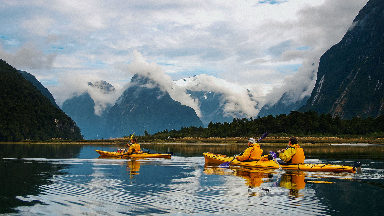 Sea kayak in Milford Sound, New Zealand