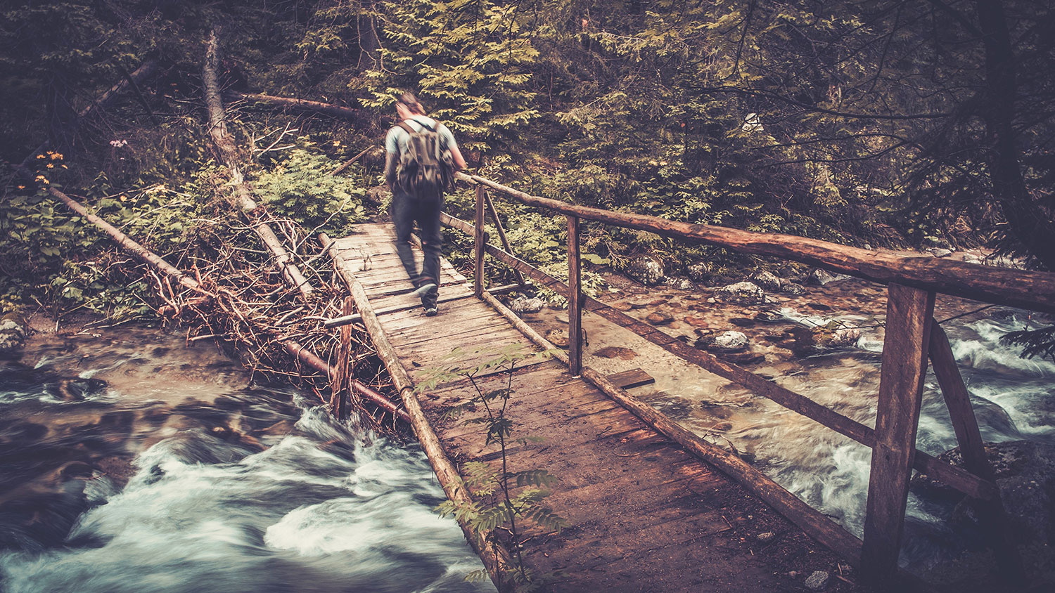 Hiker with hiking poles  walking over wooden bridge in a forest 