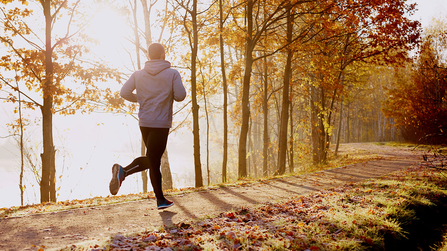 Man running in park at autumn morning. Healthy lifestyle concept