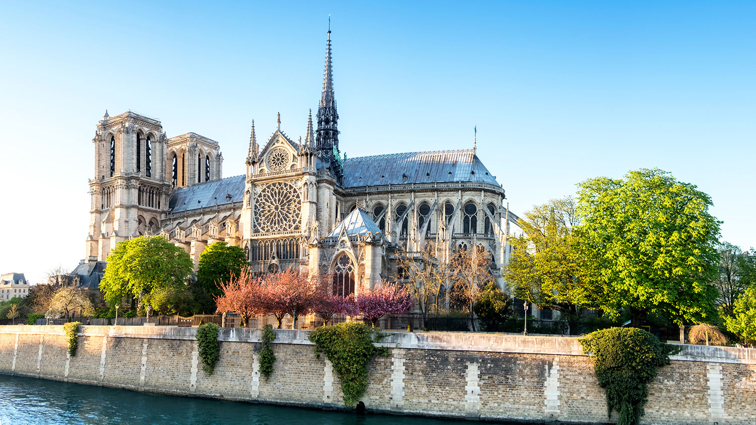 Notre Dame Cathedral in Paris on a bright afternoon in Spring