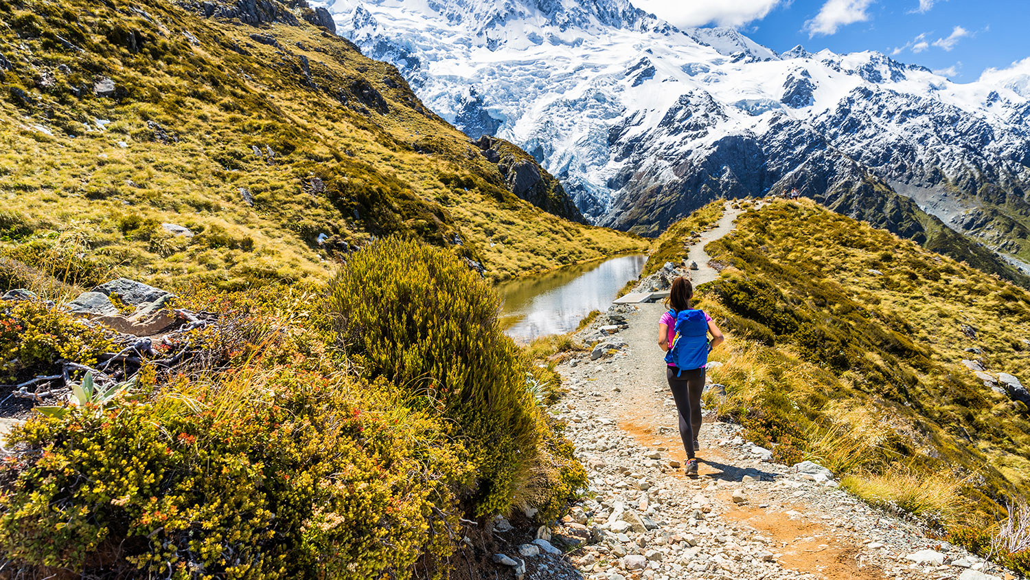 New Zealand hiking girl hiker on Mt Cook Sealy Tarns trail in the southern alps, south island. Travel adventure lifestyle tourist woman walking alone on Mueller Hut route in the mountains.