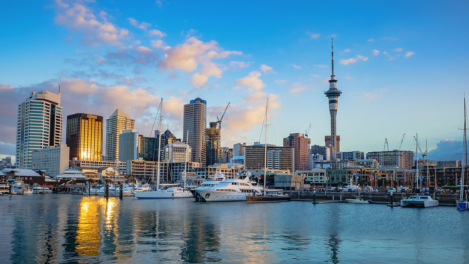 iew of cityscape the city center with yachts sailing port on a clear sunny day, Auckland,New Zealand