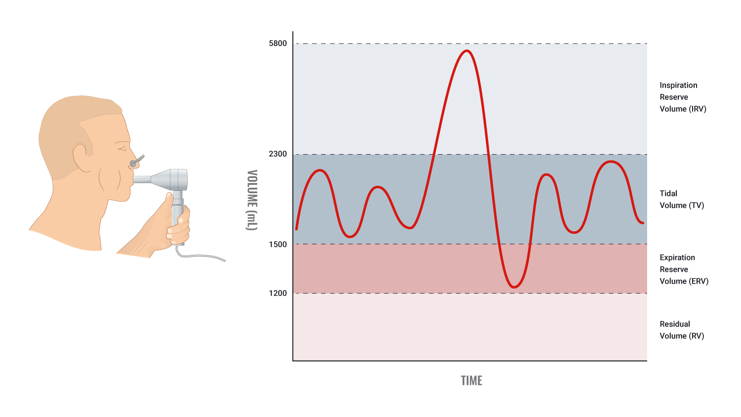 diagram of lung spirometry