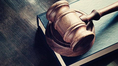 Gavel sitting on a book on a desk