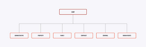 Flow chart showing different types of law