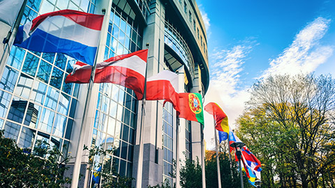 Flags outside the European Parliament building