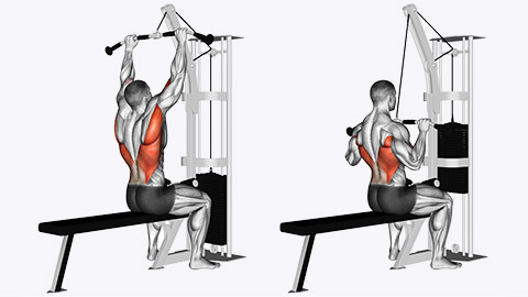 back exercise- lat pull downs