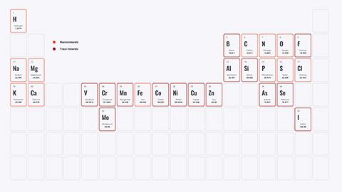 Periodic table of elements showing minerals