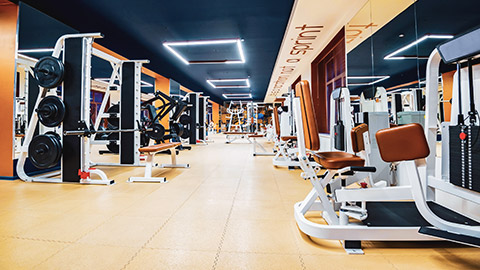 A well-lit modern gym's weight lifting machinery