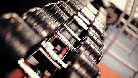 row of dumbells on weight rack