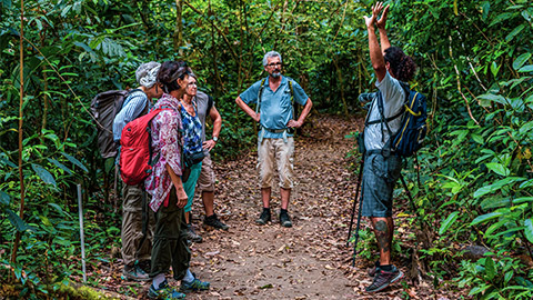 tour guide and clients in a rainforest