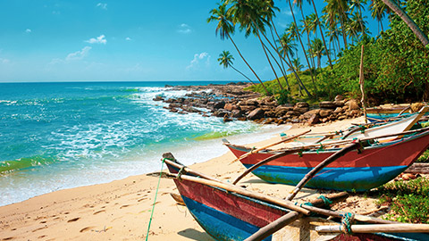 boats on sri lankan beach on a sunny day