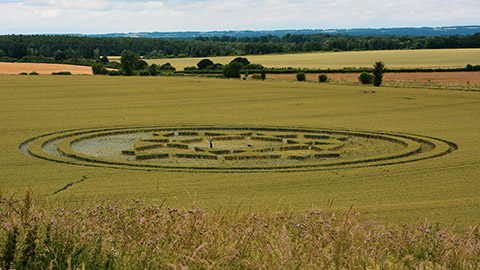 random crop circles in a field