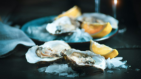 oysters on a plate on a table