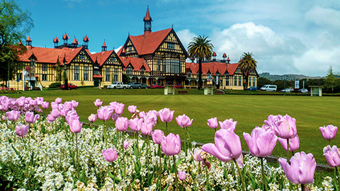 building in rotorua with pink flowers out the front