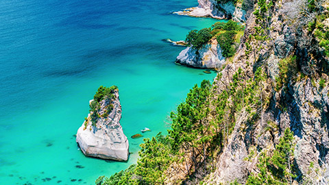 Colourful water along the coromandal coast