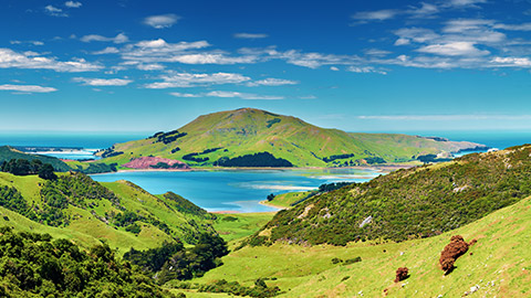 dunedin area on a sunny day