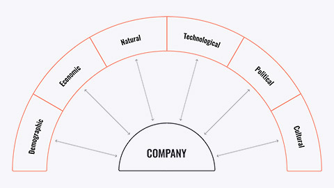 Diagram showing macro-environment