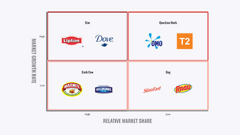 Unilever BCG matrix