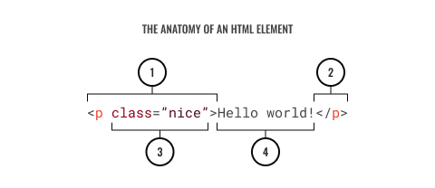 A diagram depicting the anatomy of an HTML element